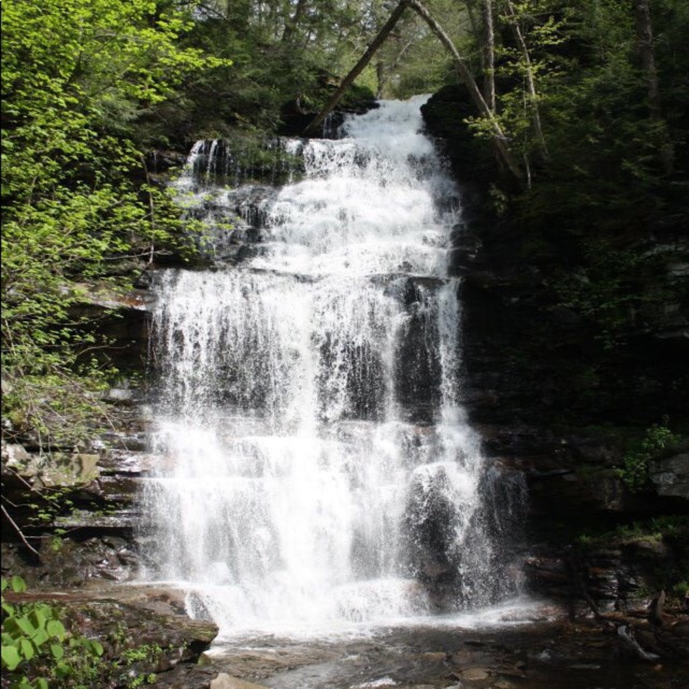 Meet your Posher, Denise